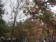 -太阳宫公园
