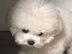 -Doors独立剧情密室(东门分店)