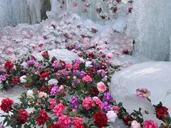 -洛阳白云山景区