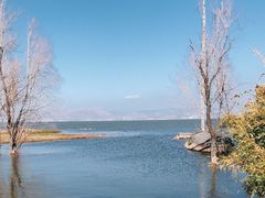 -洱海月湿地公园