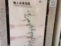 -芦芽山旅游度假区