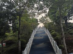-清溪大王山森林公园