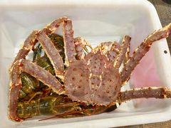 -鱼乐轩海鲜专门店