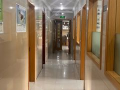 -爱侣宠医·鹦鹉专科·小型哺乳类·异宠专科(灵石路店)