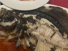 -青岛富力艾美酒店