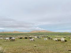 -青海湖国家重点风景名胜区