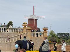 -东莞植物园