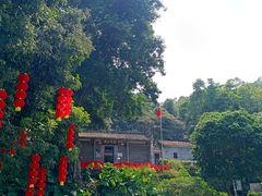 -广州市帽峰山景区