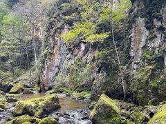 -茅兰沟国家森林公园