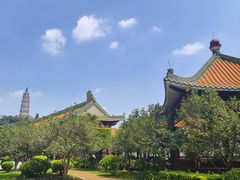 -顺峰山公园