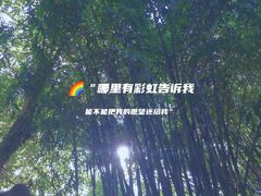 -望江楼公园
