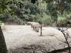-普洱太阳河森林公园