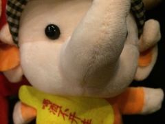 -天天玩X秋葉原日系动漫游戏中心