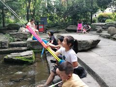 -成都市活水公园