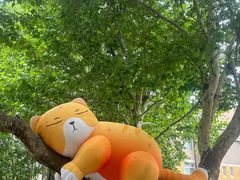 -西安电影制片厂