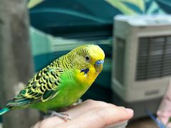 -正佳雨林生态植物园