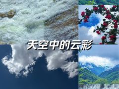 -牛背梁国家森林公园