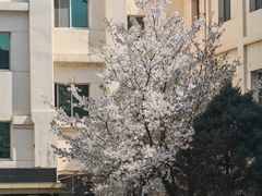 -博雅渔港·融合菜(维也纳国际大酒店)