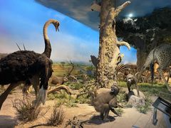 -国家自然博物馆