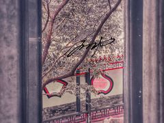 -颐和园