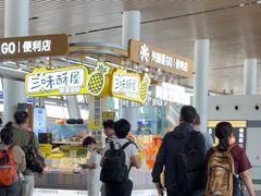 -厦门高崎国际机场-T4航站楼