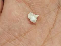 -桂满陇·杭州饭店(清河万象店)