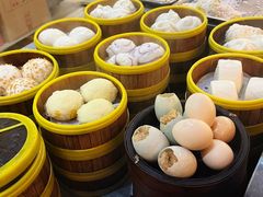 -琼海·狮椰美食楼
