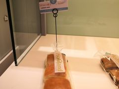 -蒲公英(五里店)