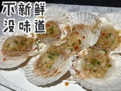 黄椒酱蒸元贝-大鸽饭(体育西路店)