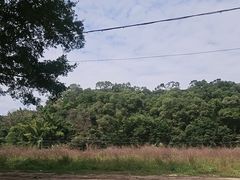 -广州市帽峰山景区