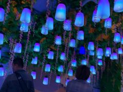 -济南方特东方神画