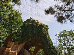 -燕窝岭