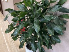 -瑞慈体检沈阳机构