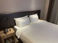 -汉庭(合肥火车南站北广场店)