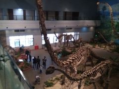 -自贡恐龙博物馆