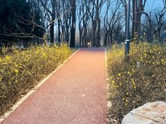 -南长河公园