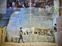 -清迈夜间动物园