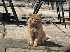 -南拳十三姨·潮汕砂锅粥·粤菜(西单大悦城店)