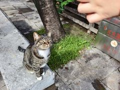 -天龙宝严素食馆(大兴善寺店)