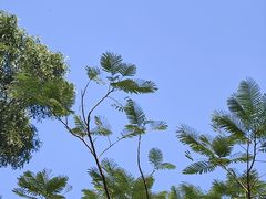 -清湖文化公园