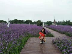 -渔岛海洋度假区