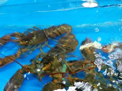 -明润海鲜(南边海店)