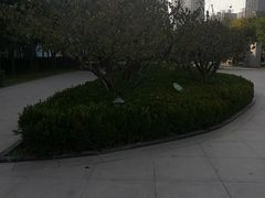 -木塔寺遗址生态公园