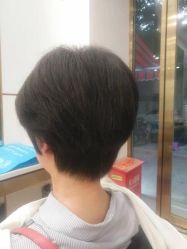 -YESIDO椰岛造型