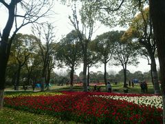 -上海鲜花港