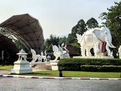 -清迈夜间动物园