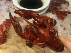 -怪怪龙虾·澳洲蓝龙王·深夜食堂(惊驾路店)