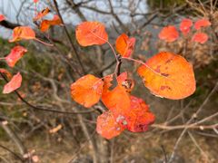 -北京十三陵国家森林公园蟒山景区