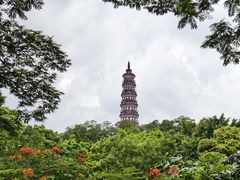 -顺峰山公园