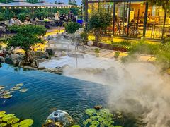 -蘇河湾·新鲁菜·泰山宴(泰山店)